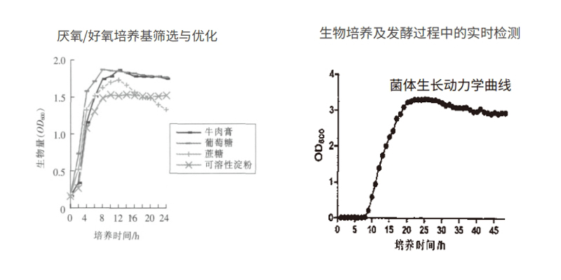 過程安全，結果精準
